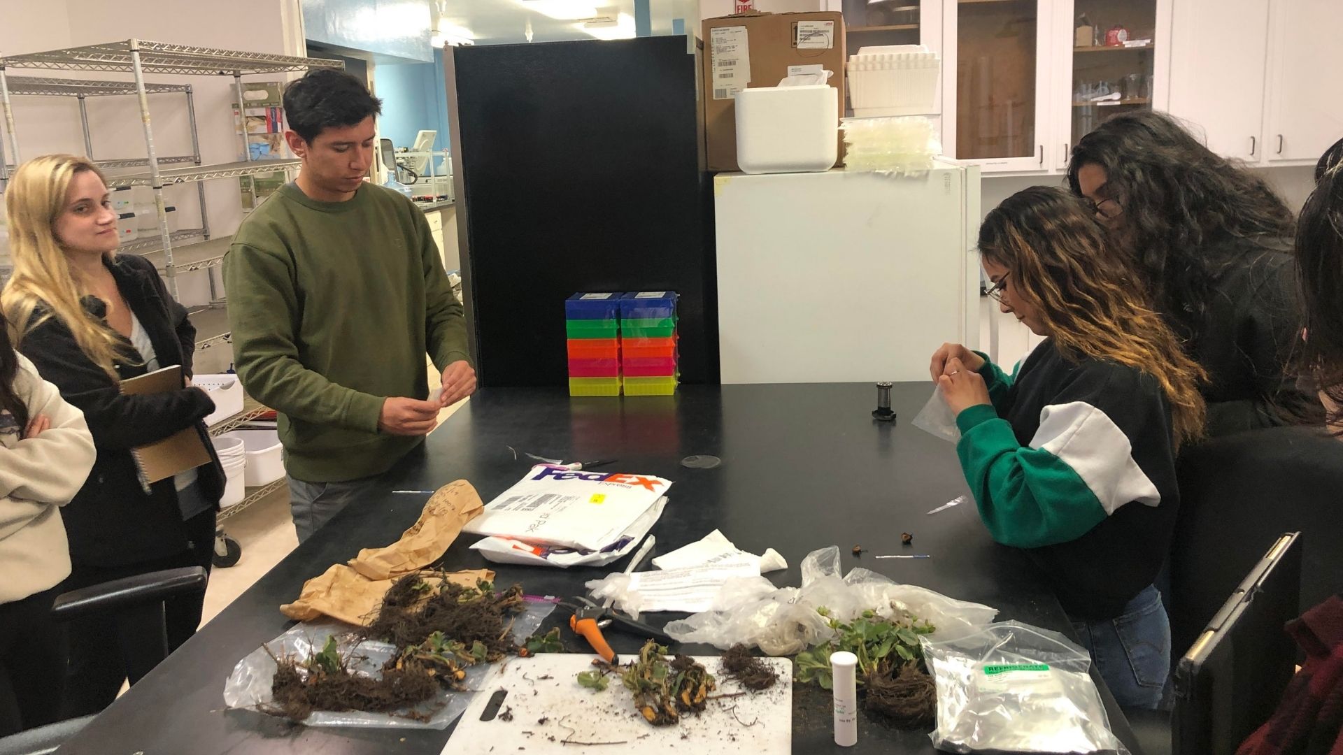 Students studying plants in the AGPS program