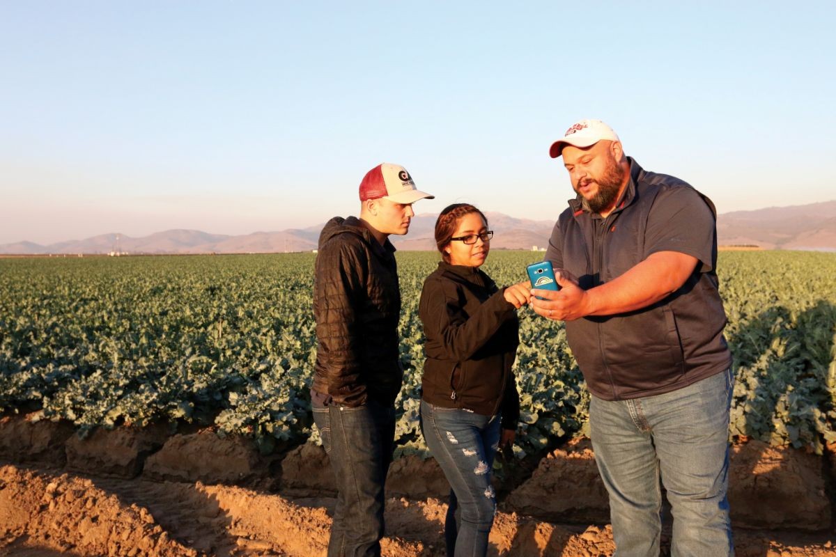 Three employees use a HeavyConnect mobile app by a broccoli field in Salinas.