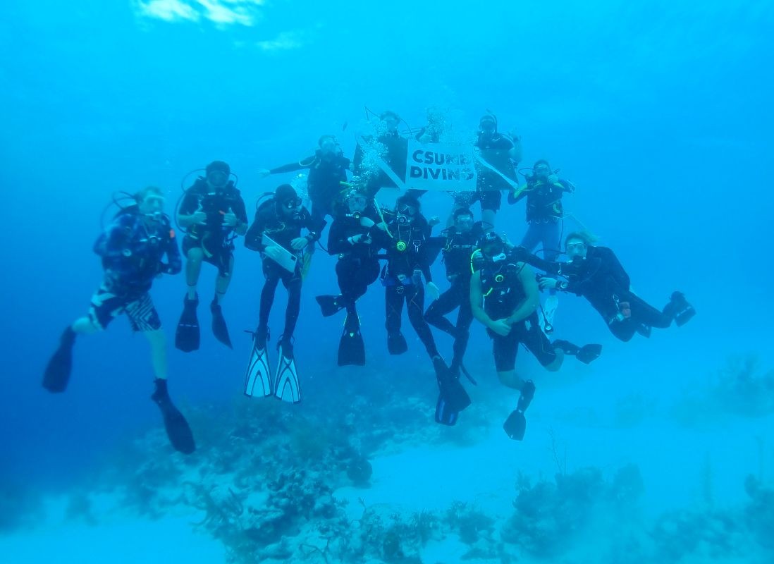 Diving students take full advantage of CSUMB's proximity to Monterey Bay. The university is one of the few in the country that offers a scientific research diving program.