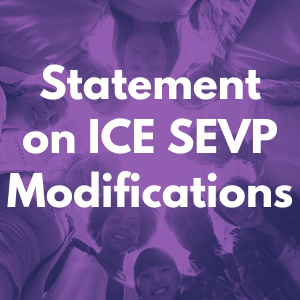 Statement on ICE Image