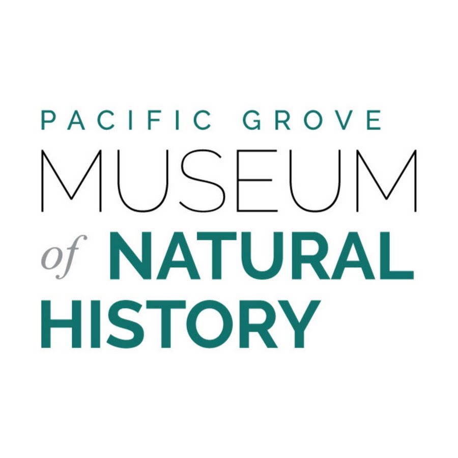 title logo, teal, black, white