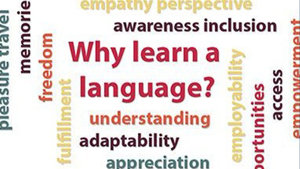Word cloud: Why learn a language?
