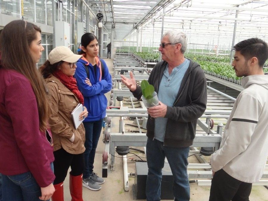 Mr. Howell shows students the orchids during growth stage.