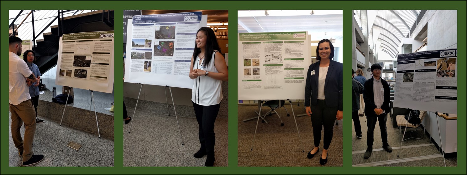Image of 2018 UROC students with posters