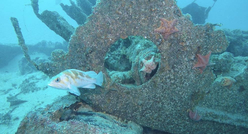 Photo of a submerged wreck in Monterey Bay