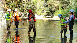 Environmental Science graduate students conducting field work in a stream