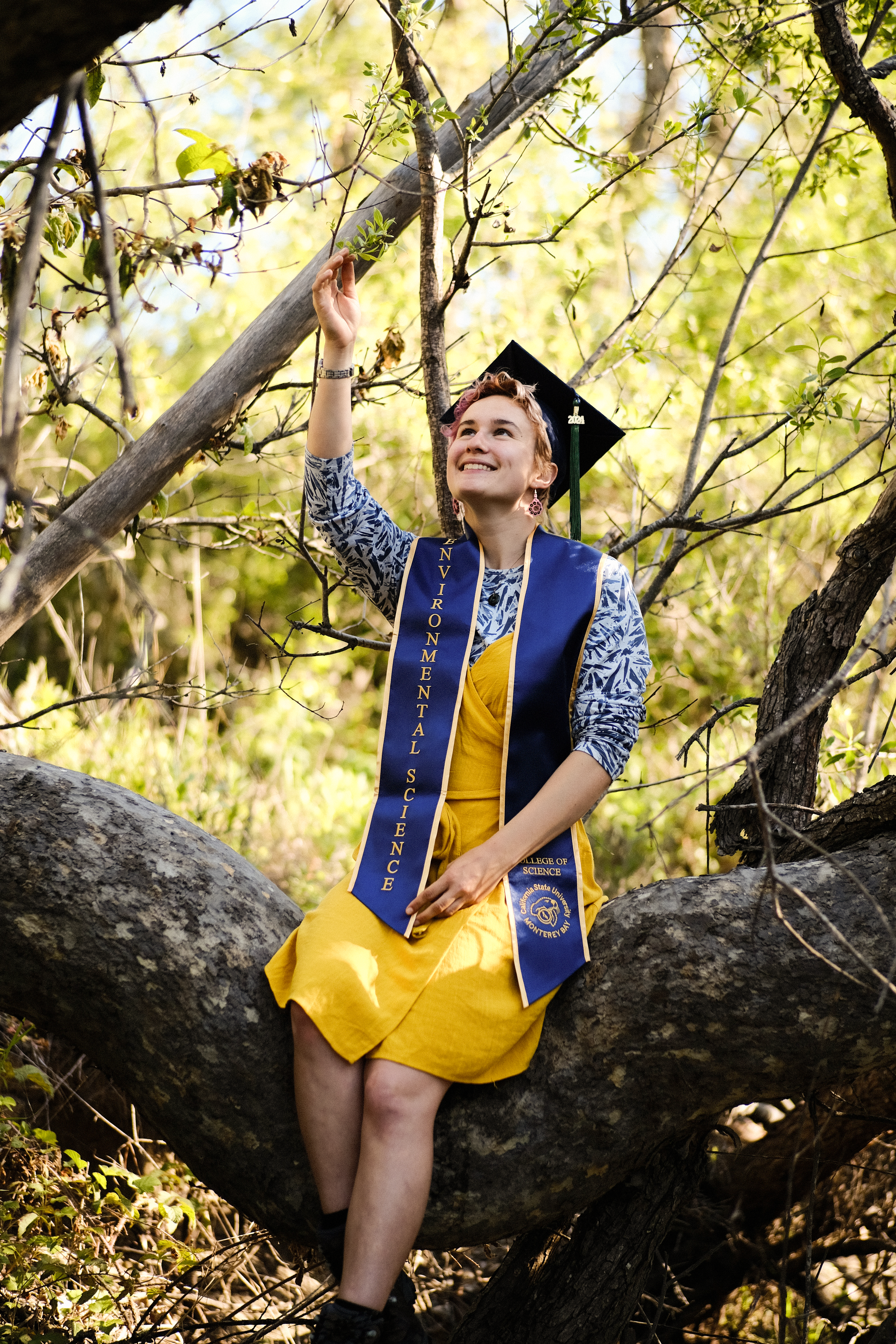 Ellery is sitting on a log, wearing her cap and graduation stole. The stole says 