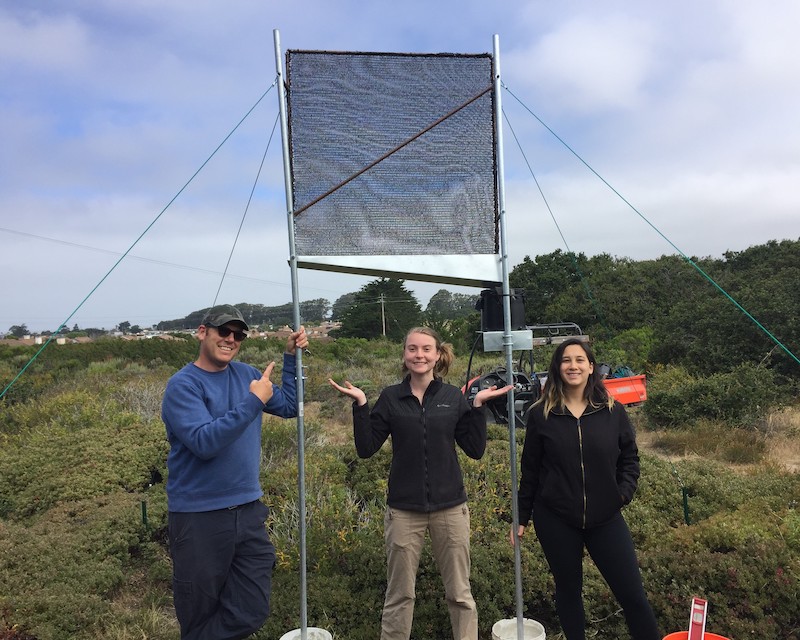 Environmental studies students pose beneath a mesh fog water catcher