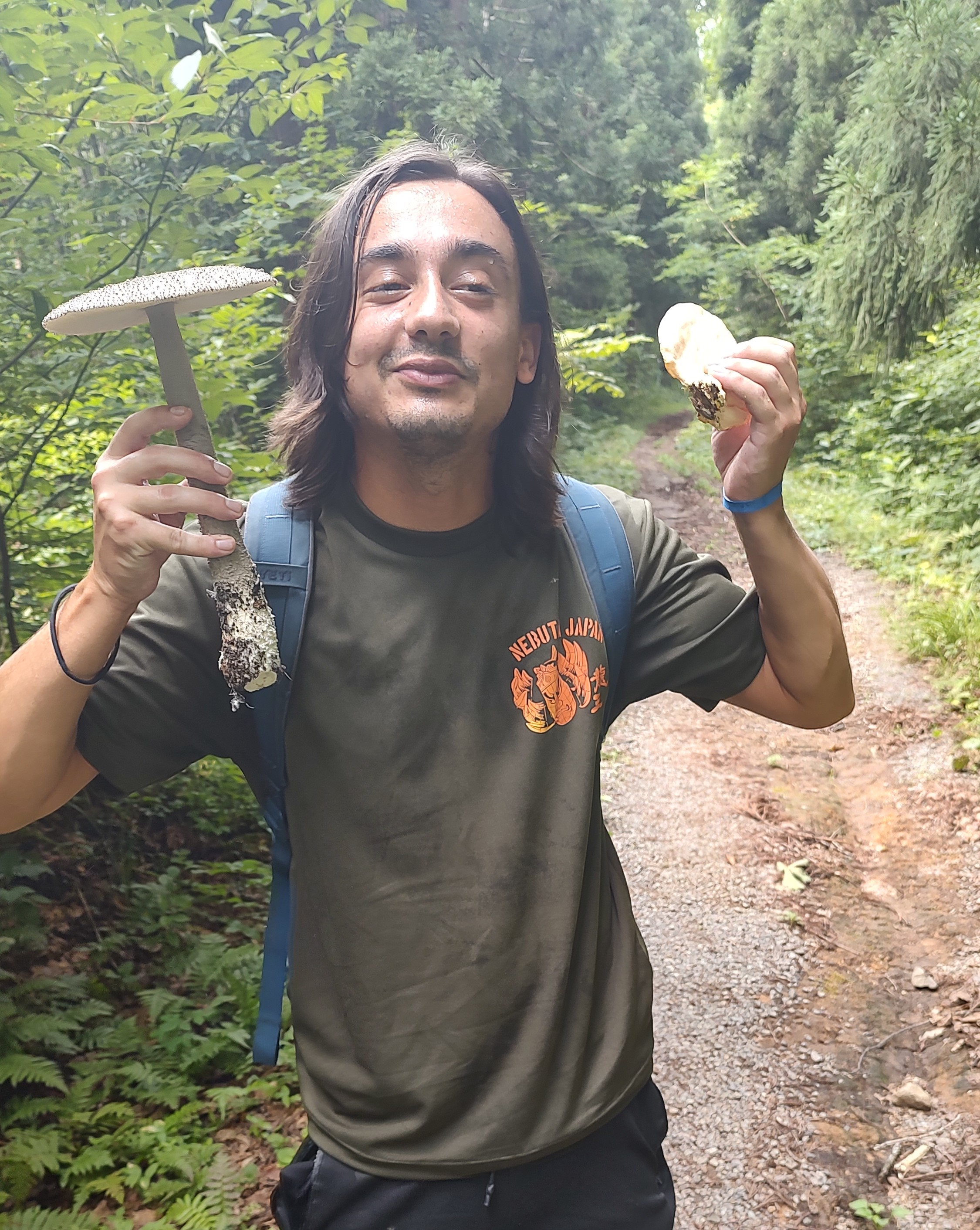 Person holding two large mushrooms on a forest trail, wearing a green t-shirt and shorts.