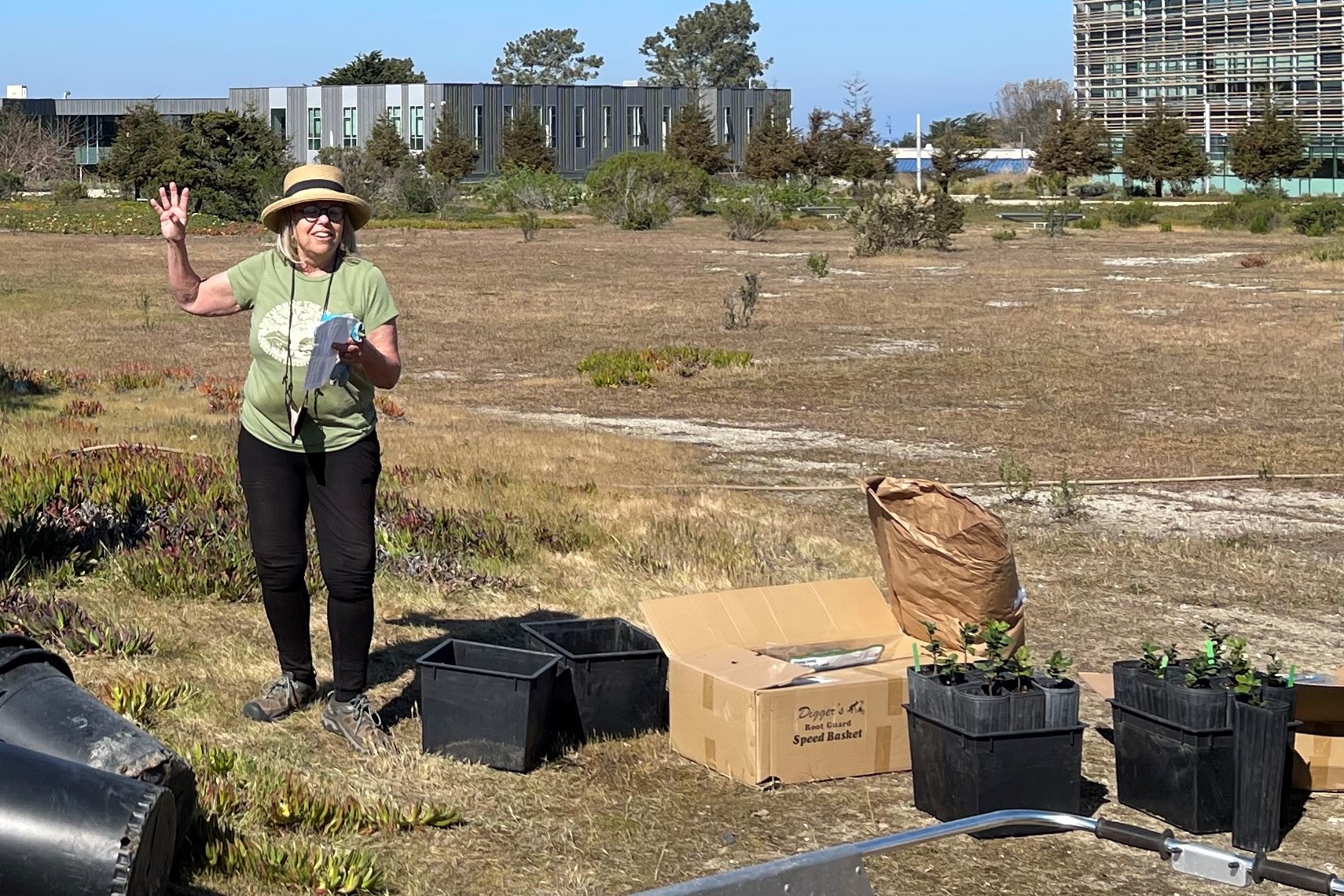 Laura Lee Lienk working with a Return of the Natives planting event