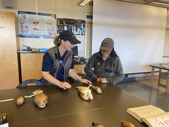 Jenny Duggan and her colleague looking at various bird specimens
