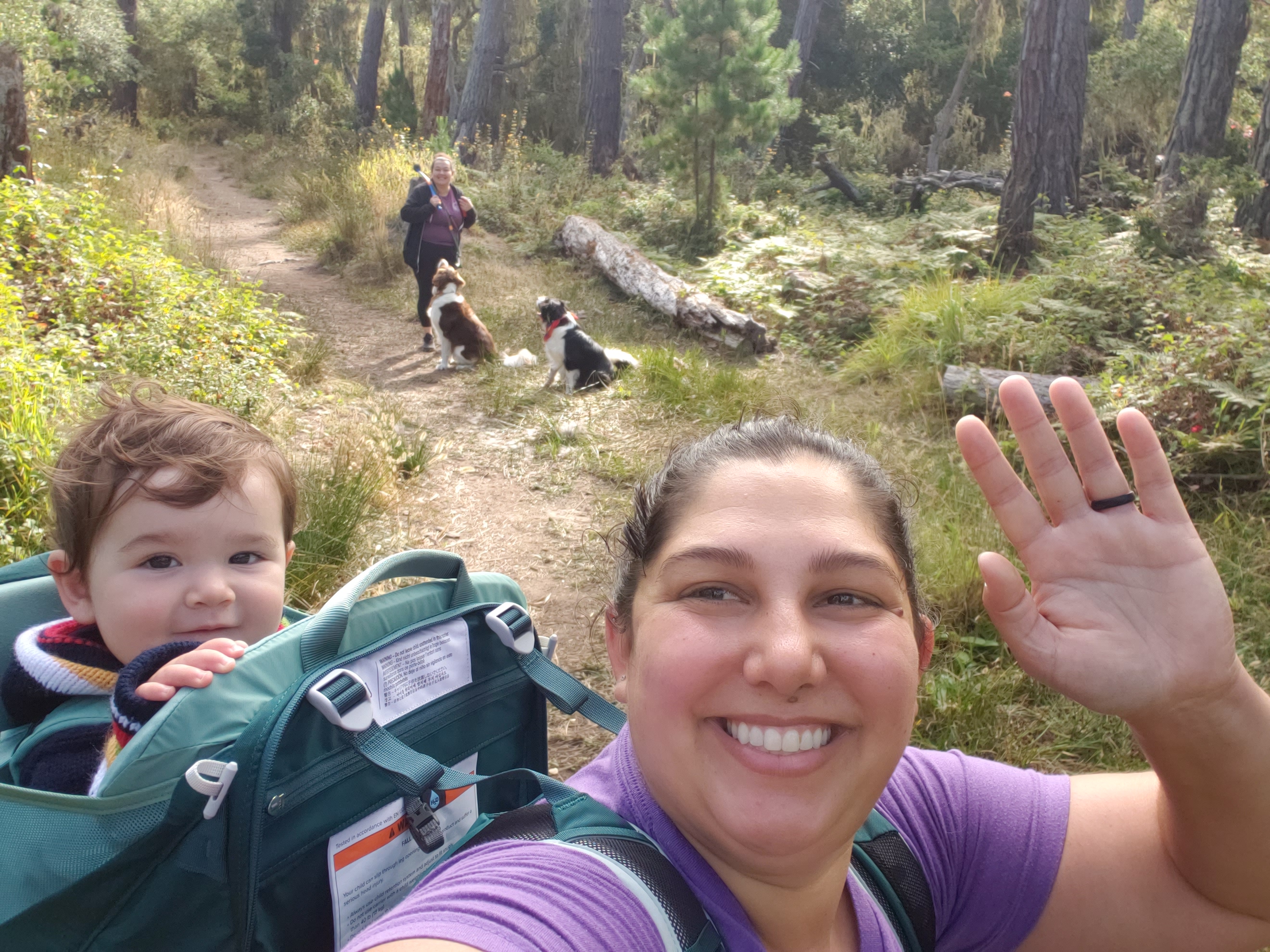 Mother and baby on a forest trail, with another person and two dogs in the background.