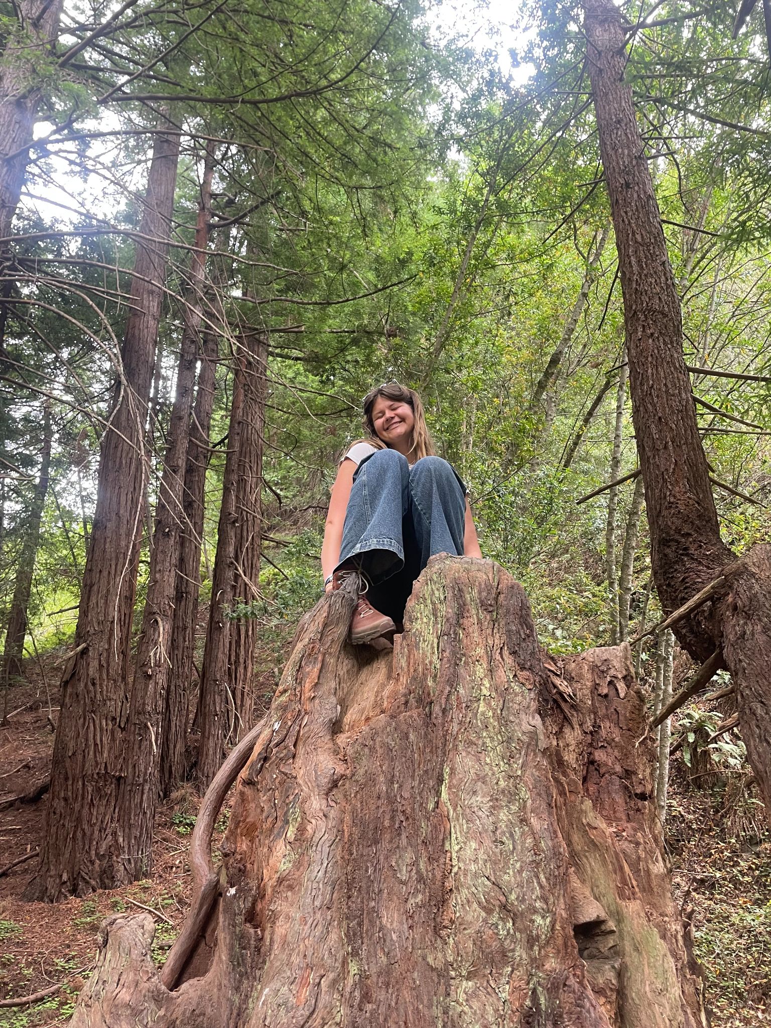 Person sitting on a large tree stump in a dense forest, smiling at the camera.