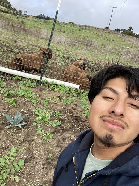 Manuel smiling and taking a selfie in front of two sheep