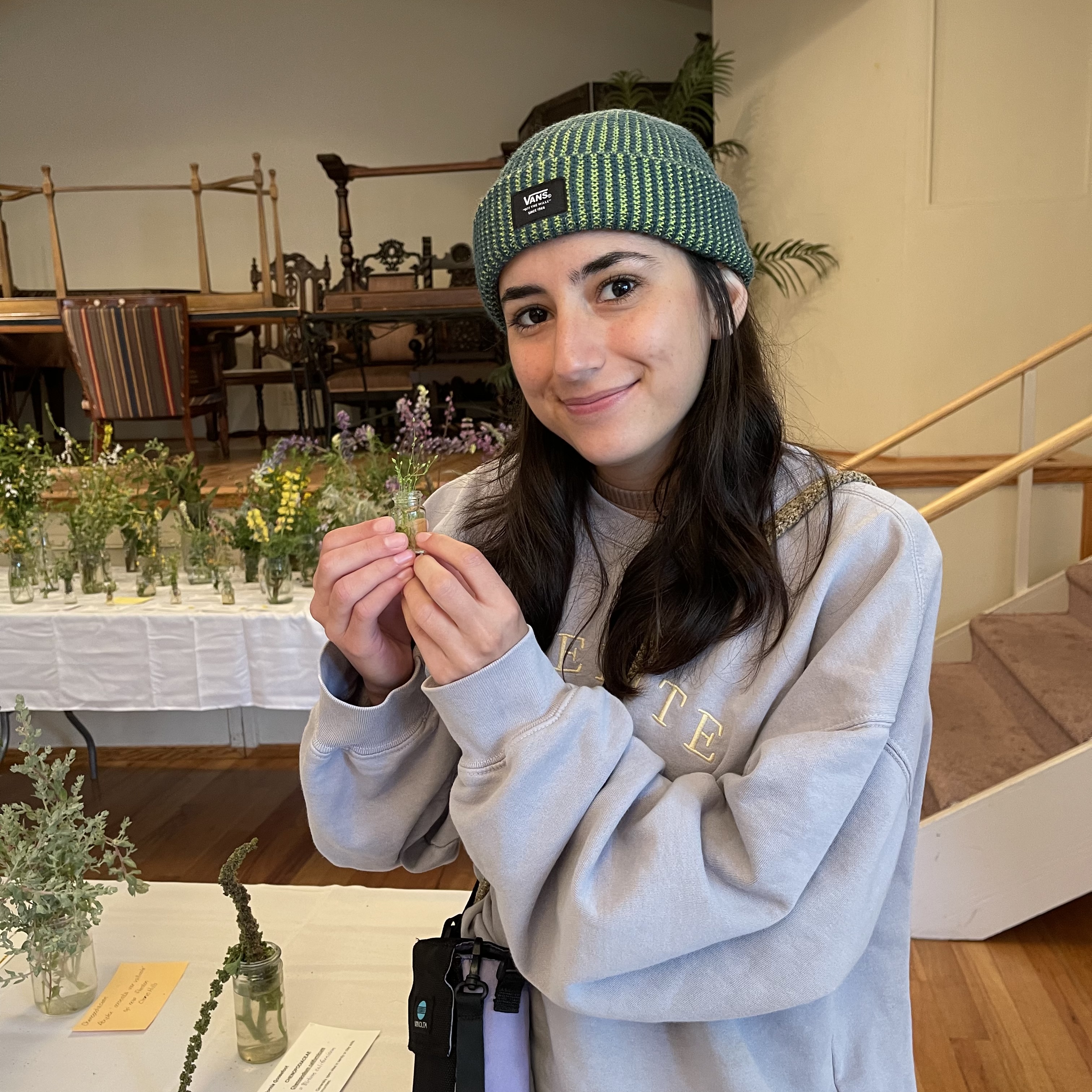 Person holding a small plant sample in a vial, in a room with a table displaying multiple plant samples in glass jars.