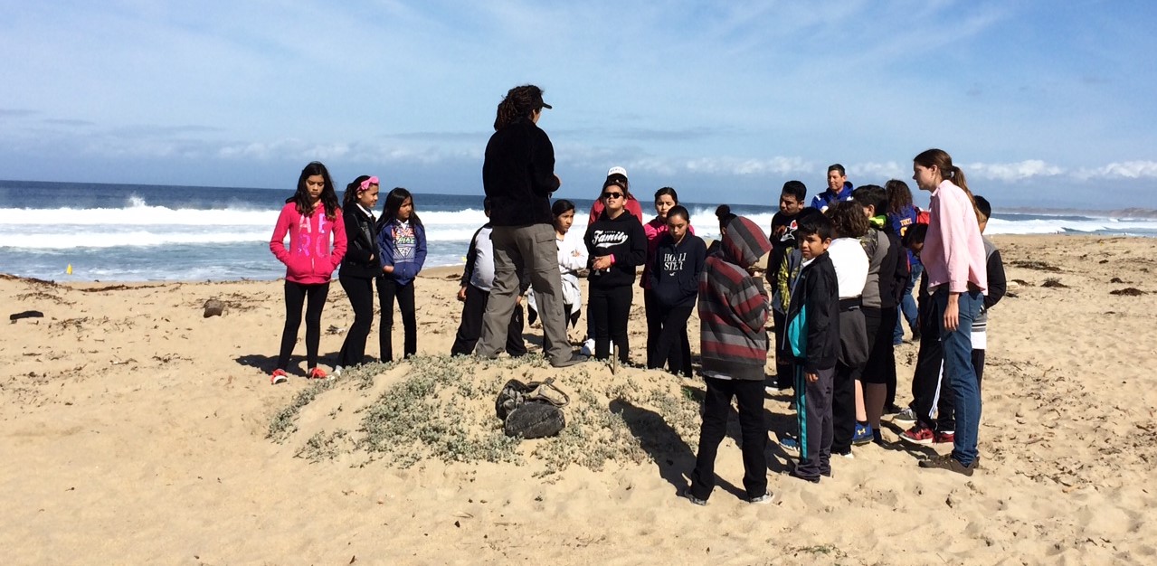 Environmental studies student leads an student group on the beach
