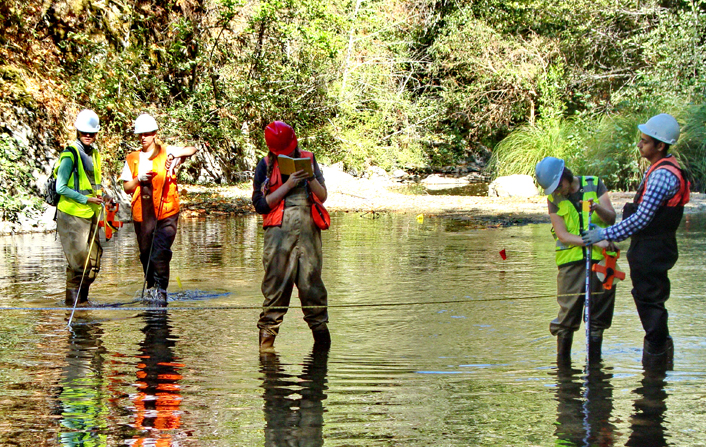 A group of students conducting stream surveys