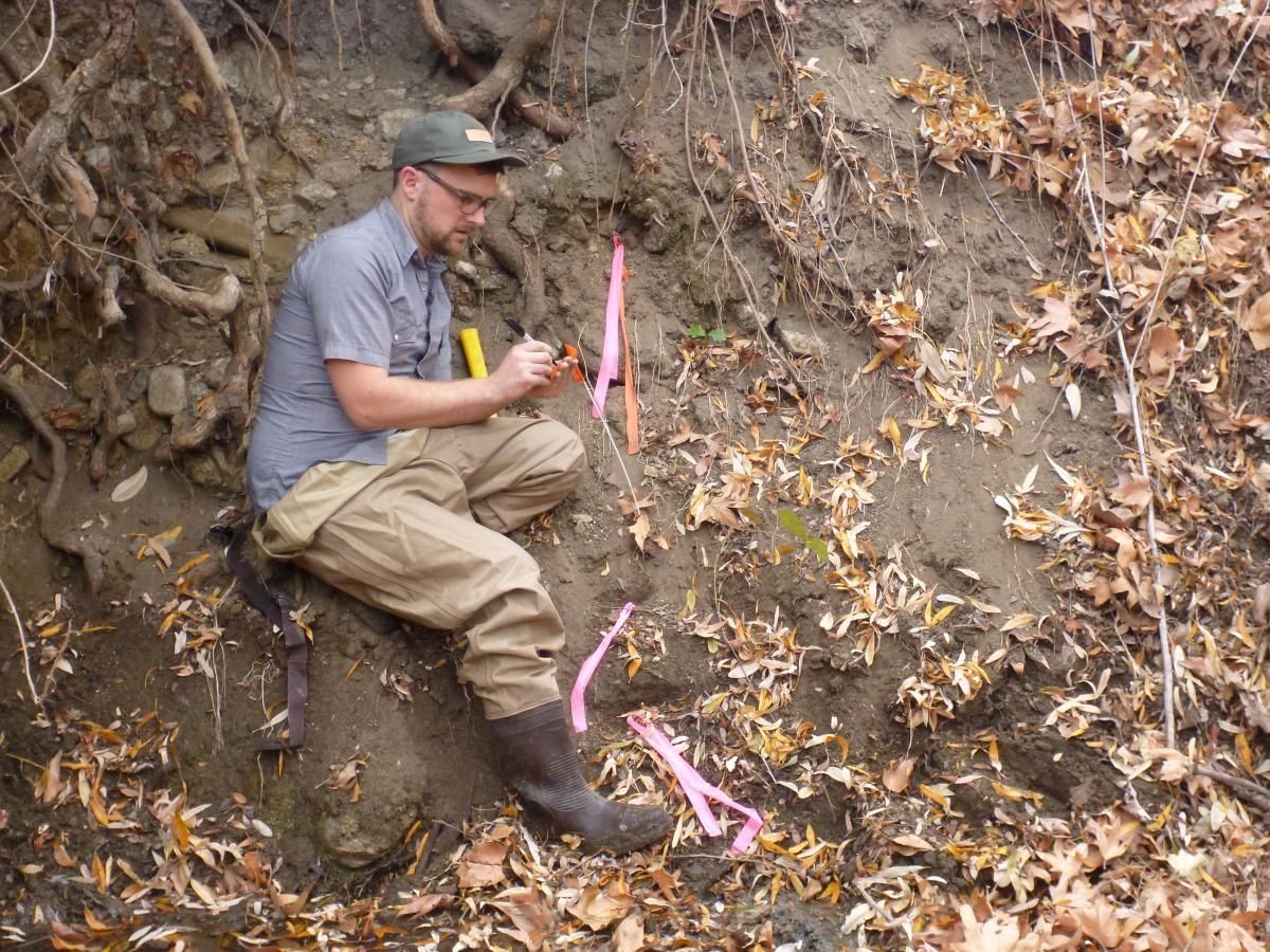 Student takes a measurement in a dirt embankment