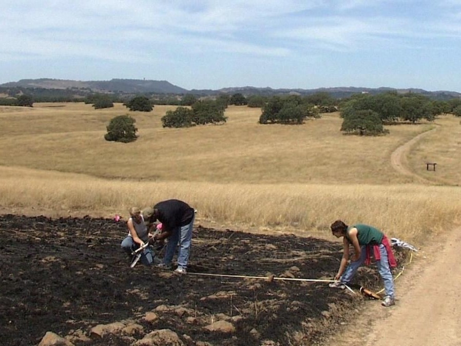 Students conducting research in an open space