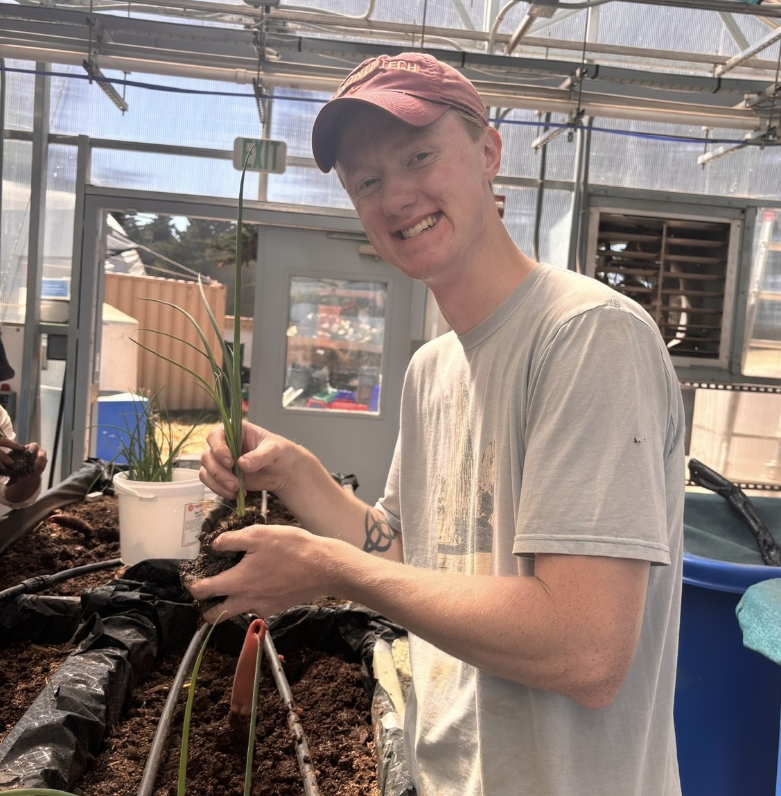 Person holding a small plant in a greenhouse.