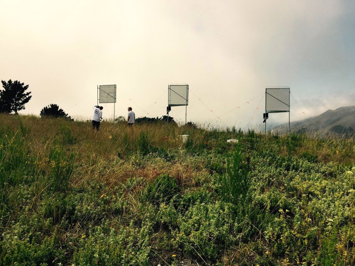 Students standing amongst mesh fog water collectors