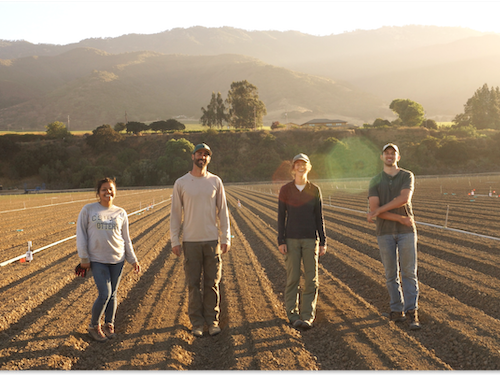 Environmental science undergraduate students walking in a agriculture field