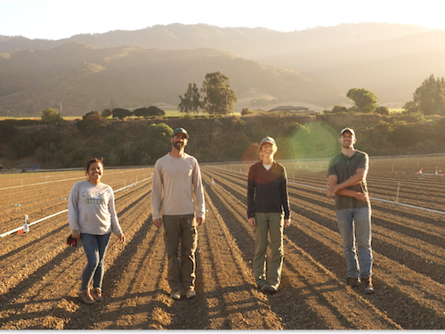 Students in agriculture field