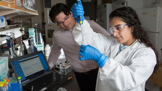 Student working in a lab