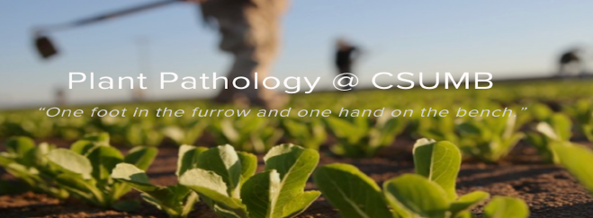 Plant Pathology @ CSUMB