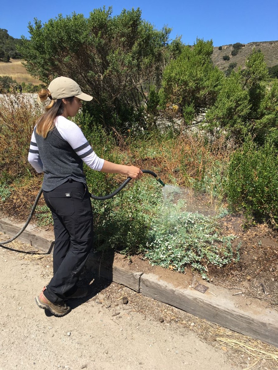 Karla Jasso watering plants.