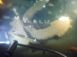 Ship anchor visible from Antipodes submersible during dive in Monterey Bay