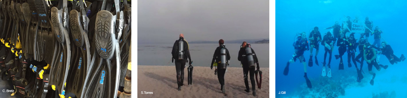 marine science students in the field and lab