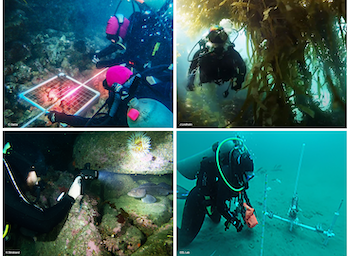 Becoming a Scientific Diver  California State University Monterey Bay