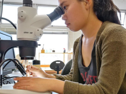 mareine science graduate student looking in microscope
