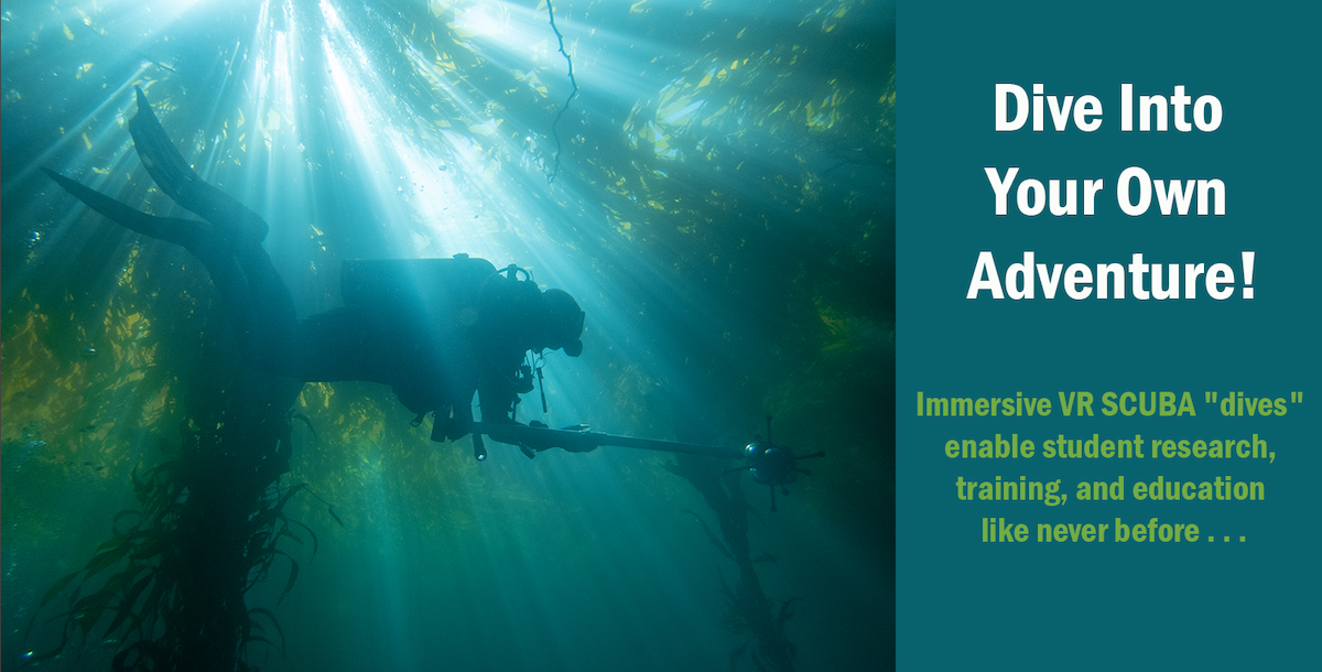 diver in kelp forest with virtual reality camera