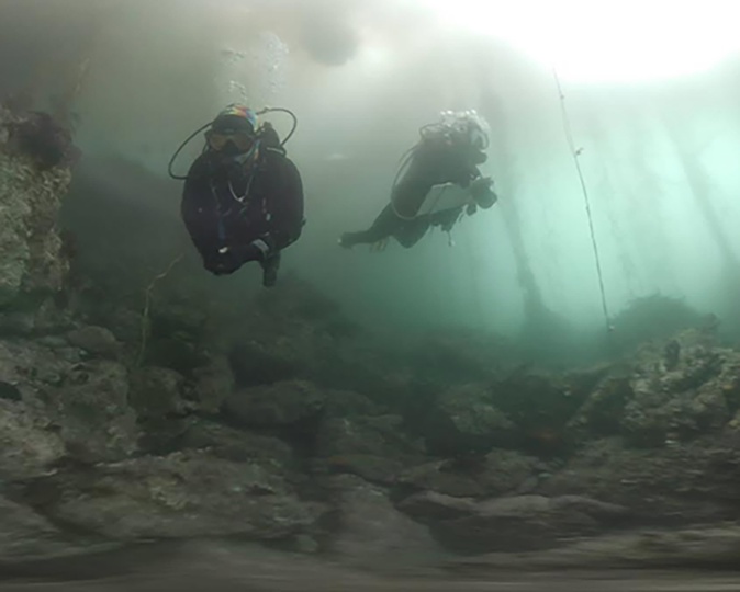 divers collecting imagery with video cameras
