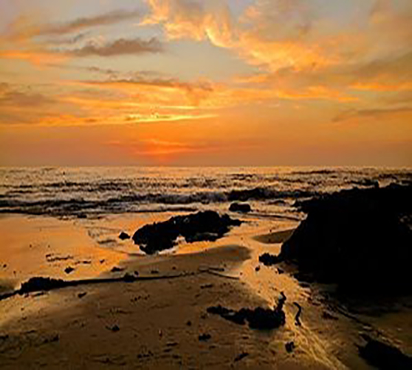 coastline at sunset