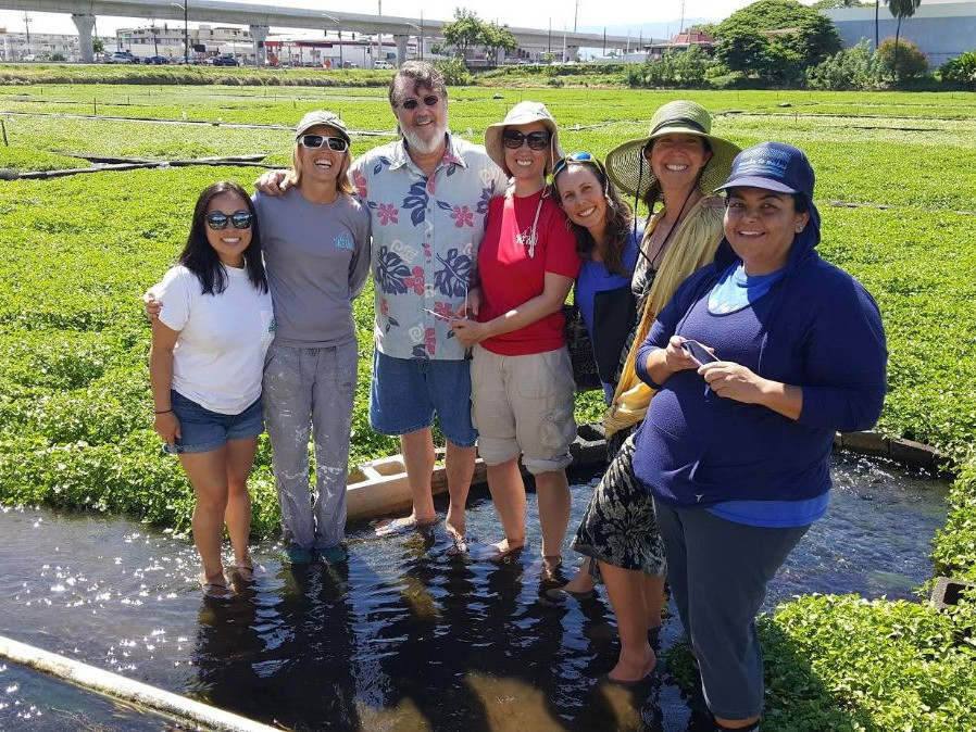 Sumida Farms research in Hawaii