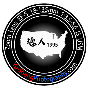 yuseng logo