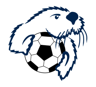 team19 logo otter with soccer ball