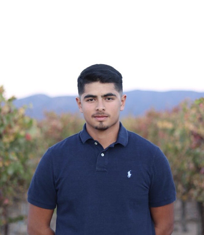 Erick looking into the camera and is standing in a vineyard. He wears a blue polo shirt