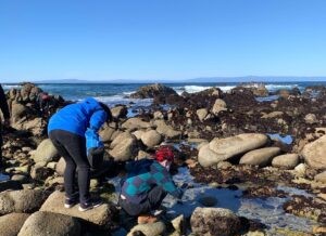 Two people examining a tide pool on a rocky shore with ocean waves in the background.