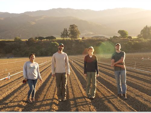 Students walking in an agriculture field