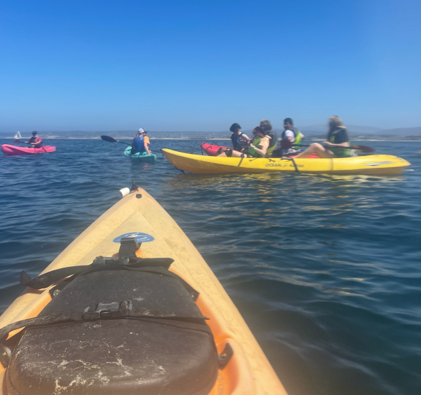 A group of kayakers in the ocean