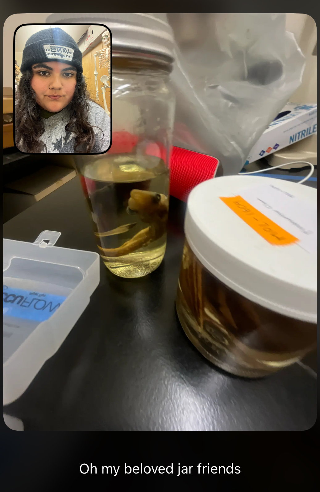 Two jars with preserved specimens on a table, alongside a plastic case and nitrile glove box. An inset photo of a person wearing a beanie is in the top left corner.