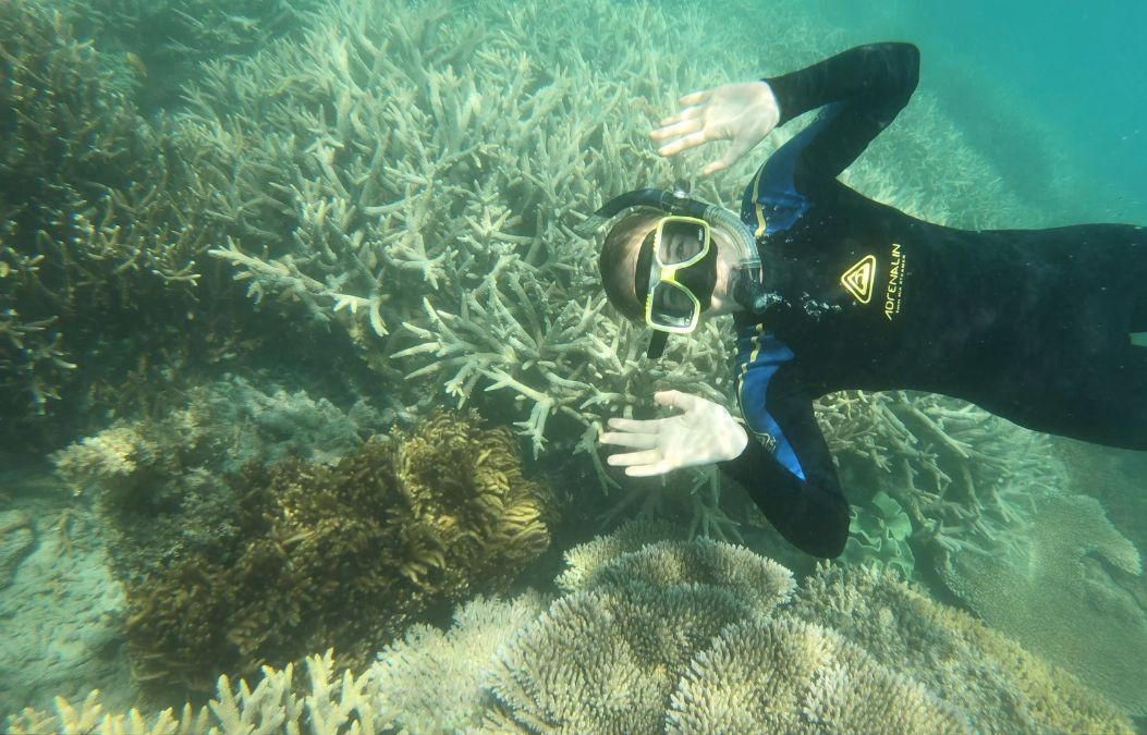 Eliza snorkeling near coral