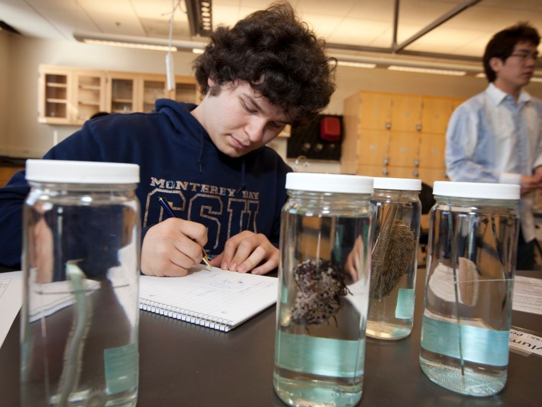 Science student writing near lab specimens