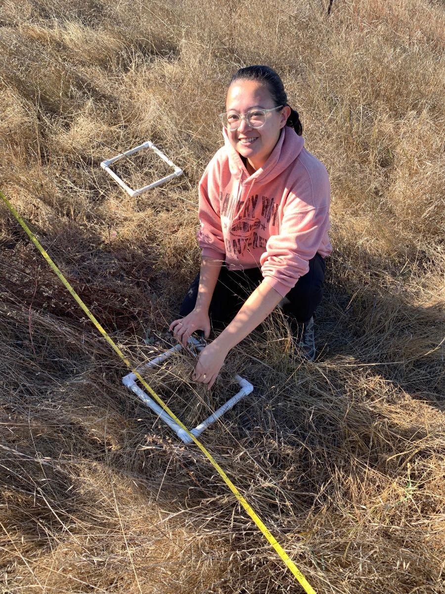 Cassandra collecting data on transect