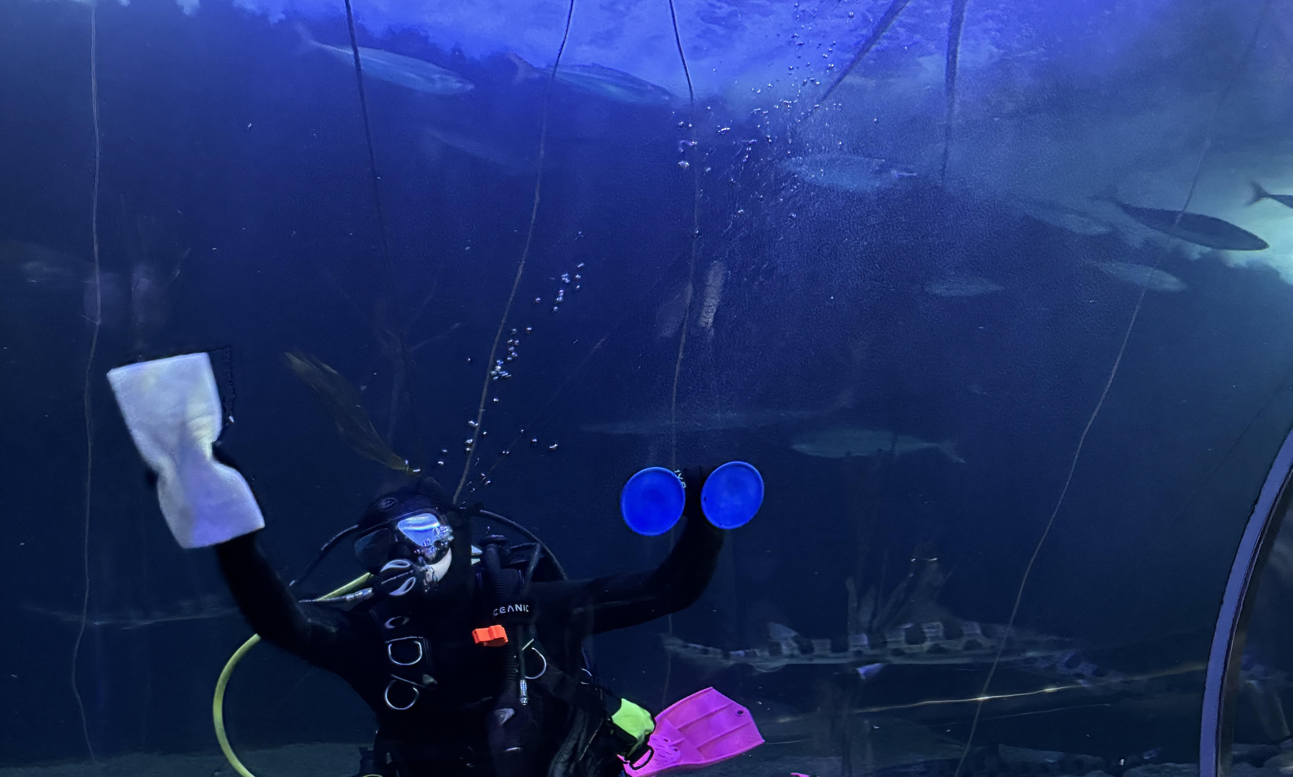 A scuba diver underwater holding a white cloth and blue circular objects, with fish swimming in the background.