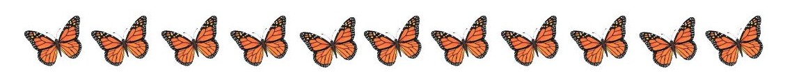 Butterfly Divider